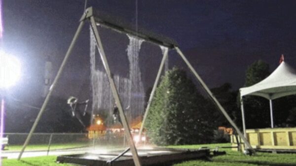 Perfect geloopte gifjes voor oneindig veel kijkplezier!