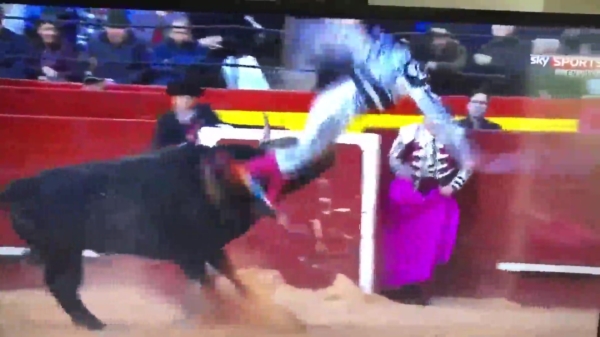 Stier laat matador onvrijwillig een stukje vliegen tijdens stierengevecht