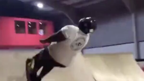 De eerste keer een backflip is altijd even wennen