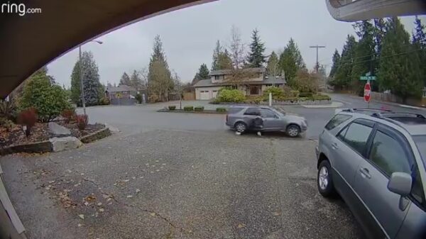 Keihard falende pakketjesdief kan beter een betaalde baan gaan zoeken