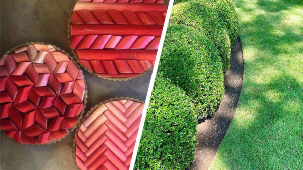 Perfectionisten opgelet: 35 heerlijk bevredigende pics op de donderdagavond