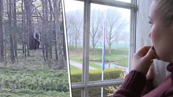 Gezin koop droomhuis met heerlijke vrij uitzicht op afwerkplaats voor mannen