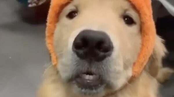 Wat is het koud hè?