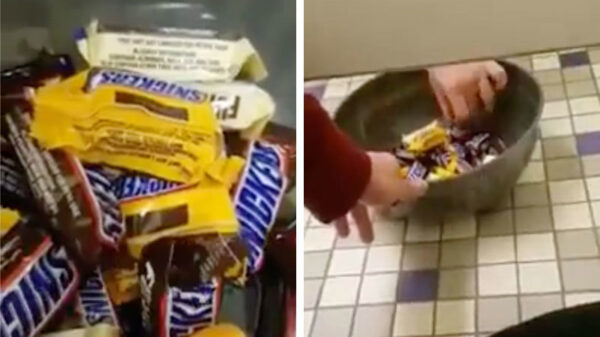 Hey bro, jij ook een fijne Halloween hè?