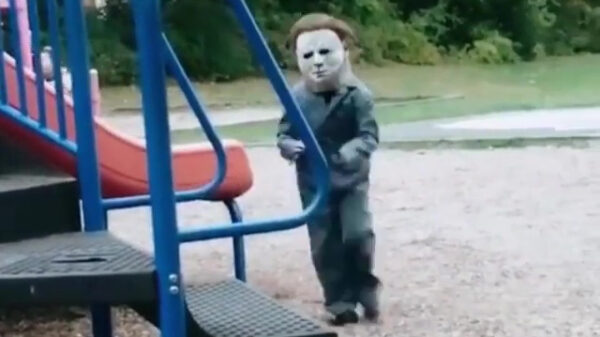 Deze koter zit al helemaal in de Halloweenstemming