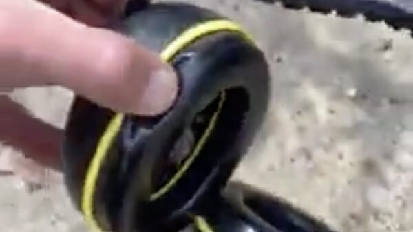 Australische gehoorbescherming kun je niet klakkeloos opzetten