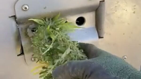 Dit apparaat is onmisbaar voor elke thuiskweker