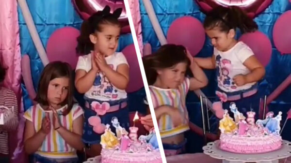 Koter uit de hel terecht aangevallen door haar jarige vriendinnetje