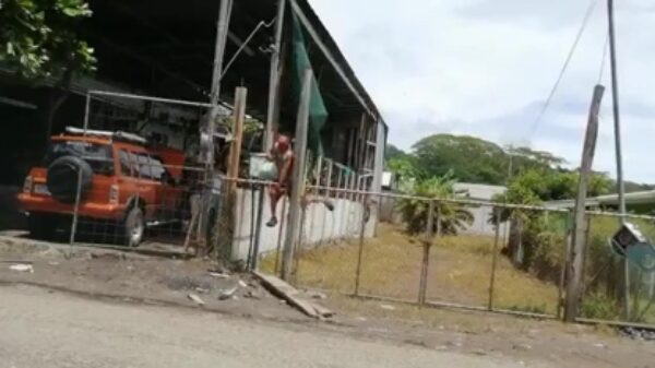 Citroenendief maakt dankzij 220 volt op zijn ballen kennis met het fenomeen karma