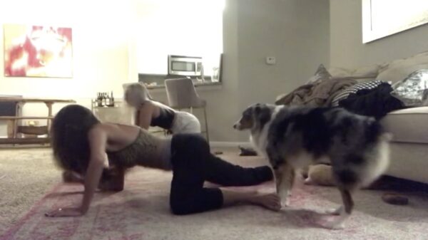 De hele familie twerkt er gezellig op los!