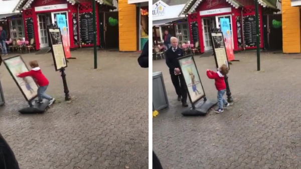 Koter heeft de tijd van zijn leven met een reclamebord