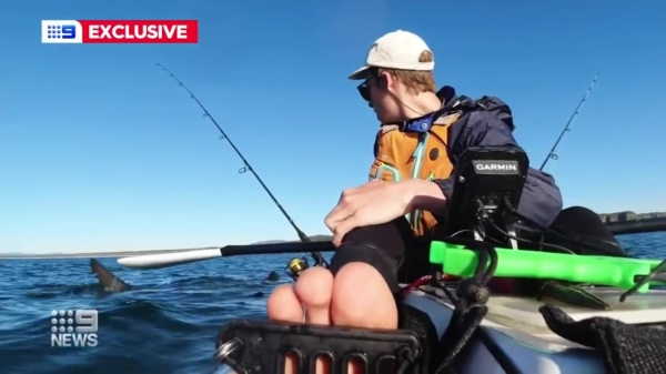 Broekpoepende kayakker maakt kennis met joekel van een witte haai