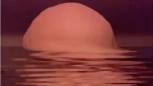 Een zonsondergang schilderen met je telefoon