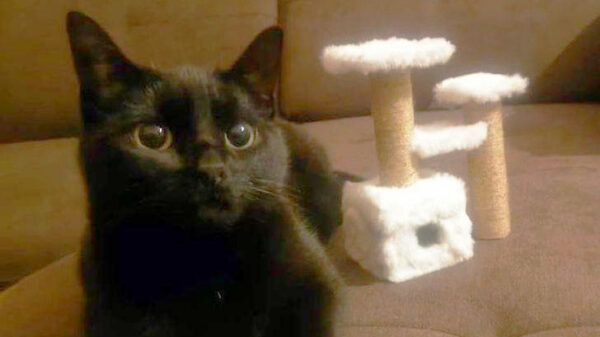 28 pechvogels die niet helemaal kregen wat ze besteld hadden