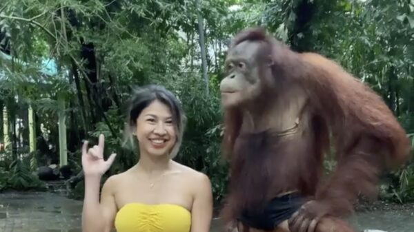 Topbaan: Bono mag pakken wat 'ie pakken kan