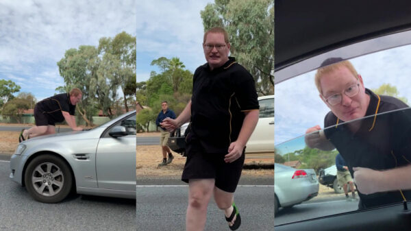 Gingergekkie gaat compleet in de flipmode en wil zich laten overrijden