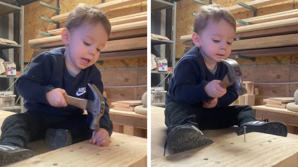 Trotse vader laat zien hoe goed zijn 2-jarige peuter kan timmeren
