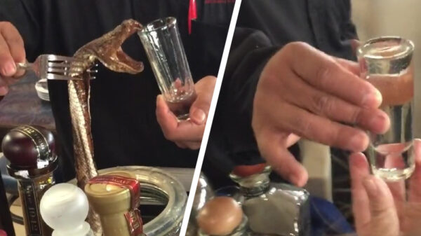 Iemand zin in een shotje met slangengif?
