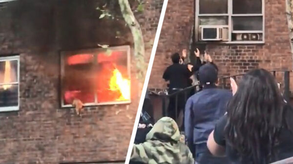 Kat springt nèt op tijd uit het raam vlak voordat hij geroosterd wordt