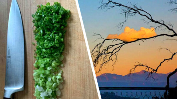 Perfectionisten opgelet, dit is je geluksdag!