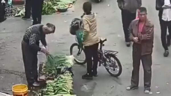 Chinees gebruikt zijn eetstokjes om een telefoon te jatten