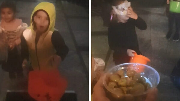 Outsiders weet wel hoe hij kinderen tijdens Halloween moet verrassen