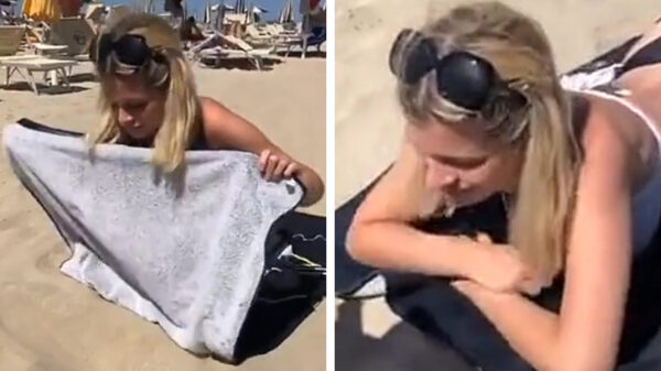 Een welgevormde meid is op een dagje strand voorbereid