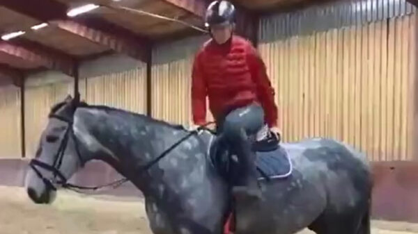 Iets té zelfverzekerd van het paard afstappen