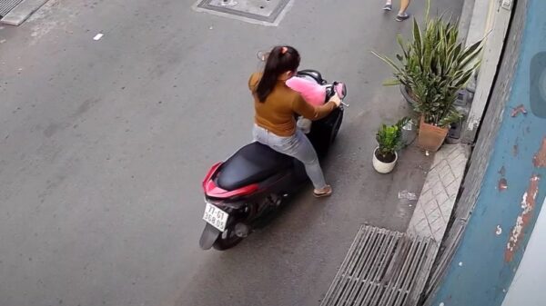 Interieurdesigner gaat op d'r smoel als ze een plant probeert te jatten