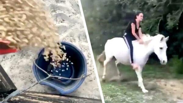 Tip van de week: zo krijg je een paardenmeisje nat