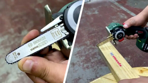 Met deze nano-kettingzaag vlieg je met het grootste gemak door elk stukje hout