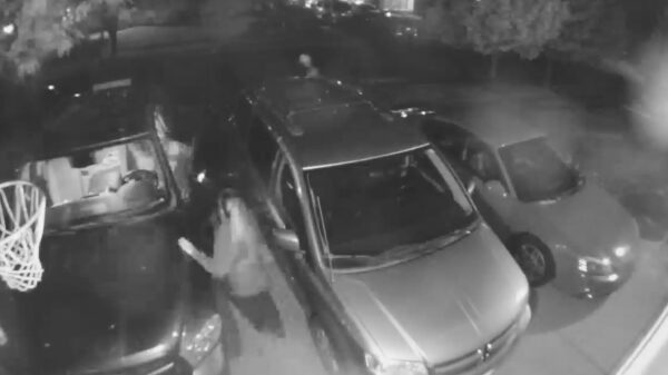 Oh ohh: autodief wordt op heterdaad betrapt