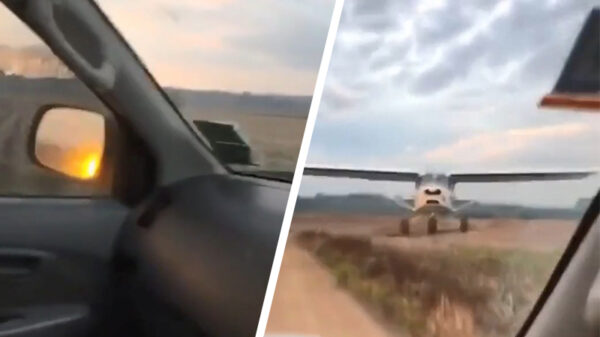 Lucky bastard in auto heeft last van laag overvliegend 'wild'