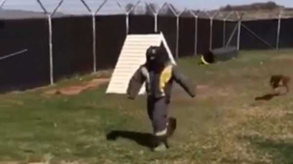 Als een echte professional ontsnappen aan een politiehond