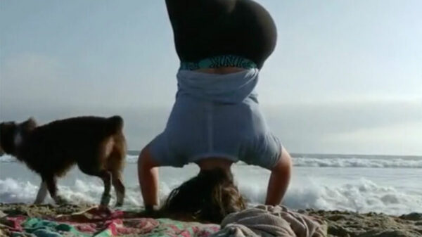 Tip: doe geen yoga op het strand als het vloed wordt