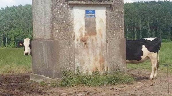 Nog eens een hele lading pics waar je minimaal twee keer naar moet kijken