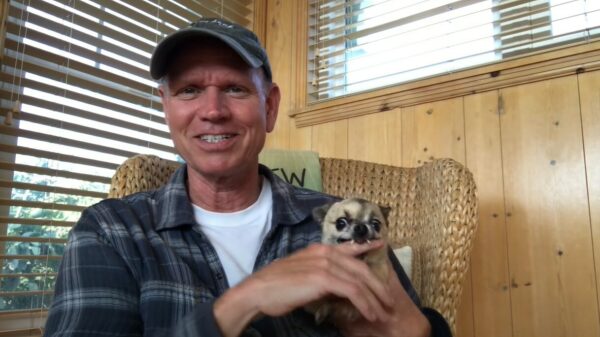 Oude doos: het aaien van een hond kán stress helpen verminderen