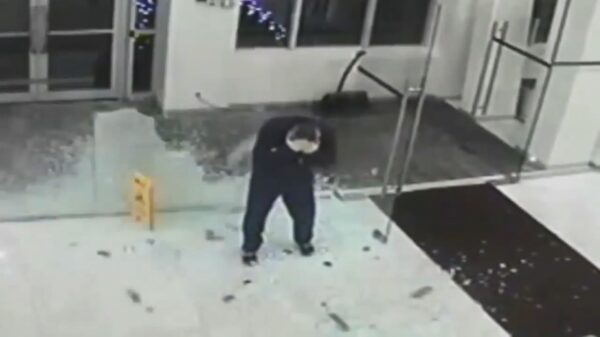 Een verzameling faalhazen die niet precies weten hoe een glazen deur werkt