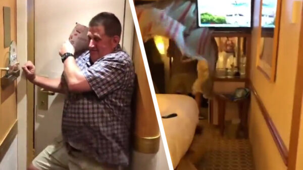 Protip: zet nooit de ramen tegen elkaar open tijdens een cruise