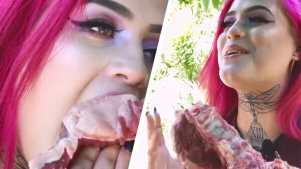 Oude doos: carnivoor eet haar biefstukje EXTRA rare