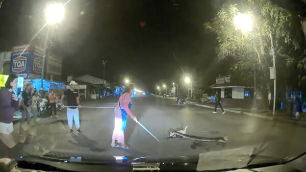 Groepje omstanders redt kat uit de wurggreep van een hongerige python