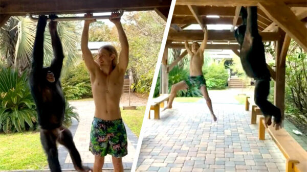 Een potje balkslingeren met je beste vriend ga je natuurlijk nooit winnen