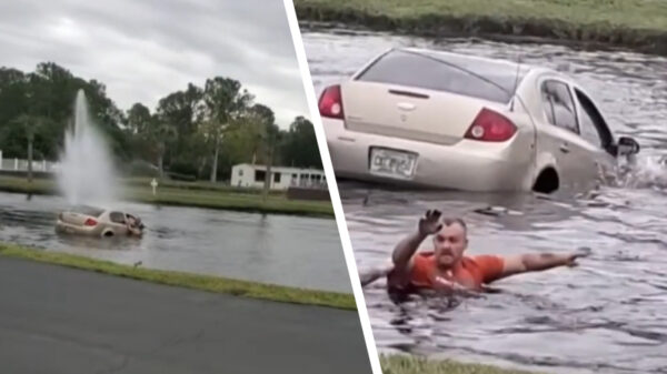 Dealer parkeert auto met koters op de achterbank na wilde achtervolging in vijver