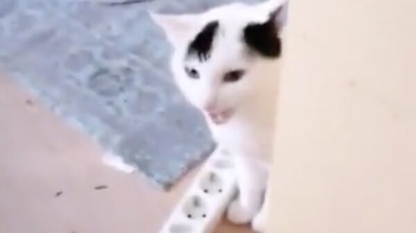 Oude doos: yo, kan je dit lezen?