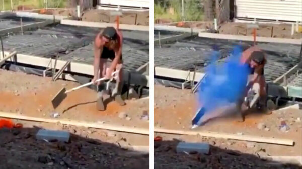 "Wedden dat jij deze spuitbus niet met je schep kan openslaan?!"