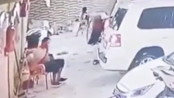 Het overleven dankzij een goed werkend instinct