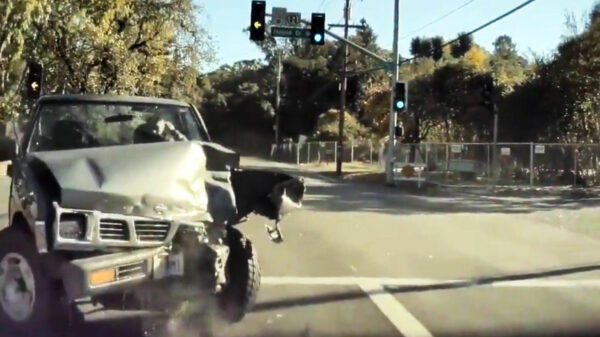 Vrouw probeert afslag te nemen maar schrijft haar complete auto af