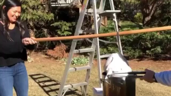 Deze faalhazen kregen met Thanksgiving de brandweer op visite