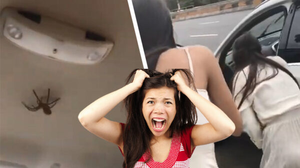 Dames worden hysterisch als ze een ongevraagde lifter in hun auto vinden