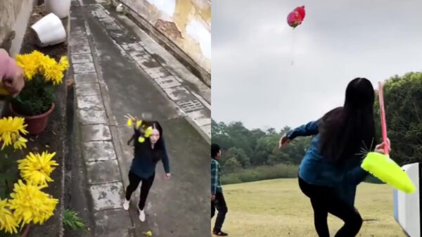 Aziatische chick heeft een behoorlijk miktalent